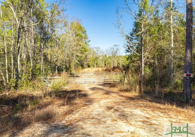 Homes for sale in Guyton, GA | 297 Horsepen Rd, Guyton, GA 31312 | MLS# SA324421