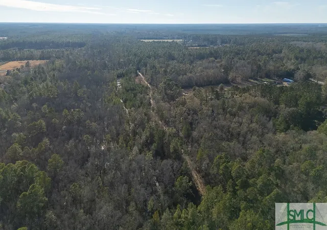 Homes for sale in Guyton, GA | 297 Horsepen Rd, Guyton, GA 31312 | MLS# SA324421