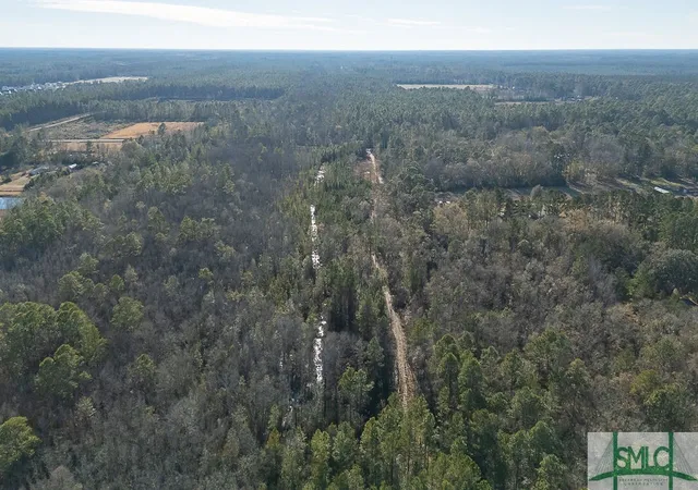 Homes for sale in Guyton, GA | 297 Horsepen Rd, Guyton, GA 31312 | MLS# SA324421