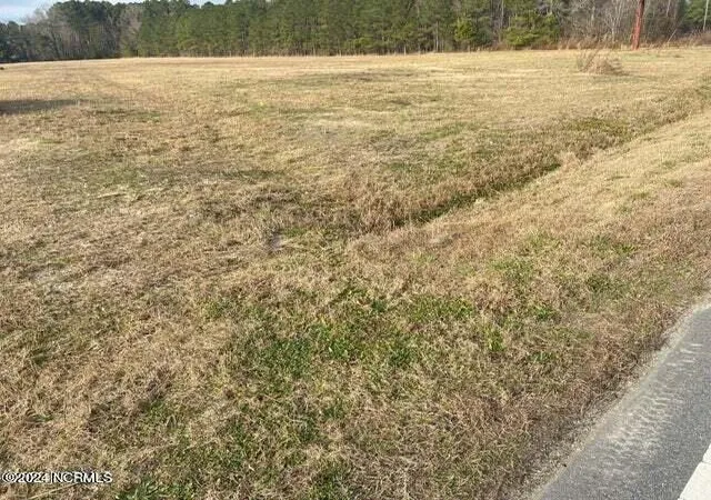 Photo 4 of Land for sale at 0 Hwy 33, Grimesland, NC 27837 | MLS# 100463750 | Listing updated on 2026-10-08