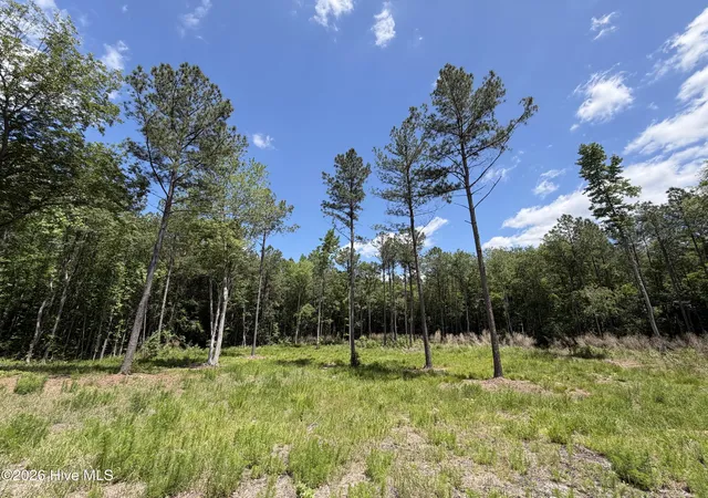 1st image of 979 Aiken Rd, Vass, NC 28394 | MLS# 100577396
