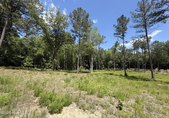 2nd image of 979 Aiken Rd, Vass, NC 28394 | MLS# 100577396