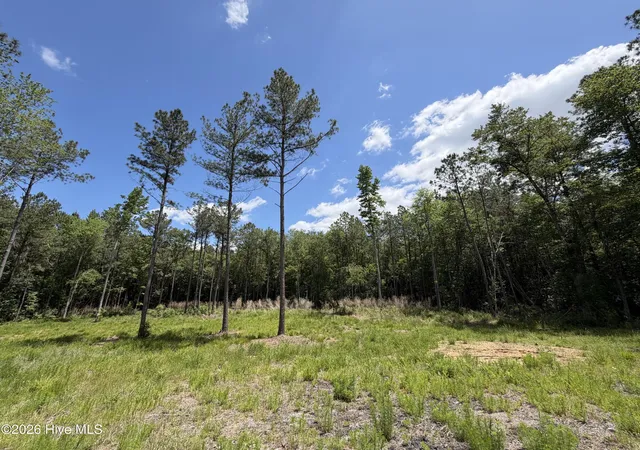 3rd image of 979 Aiken Rd, Vass, NC 28394 | MLS# 100577396