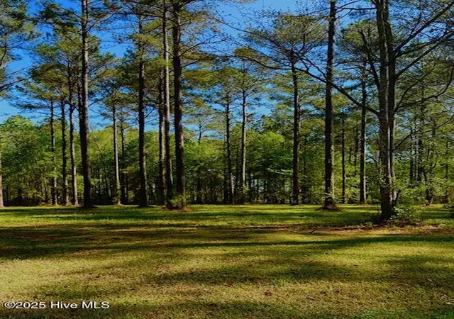 Photo 2 of Land for sale at 212 Dawson Crk Blvd, Arapahoe, NC 28510 | MLS# 100582259 | Listing updated on 2026-09-04