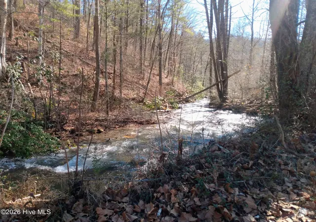 Photo 4 of Land for sale at 1412 Dicks Crk Rd, Whittier, NC 28789 | MLS# 100588312 | Listing updated on 2026-08-31