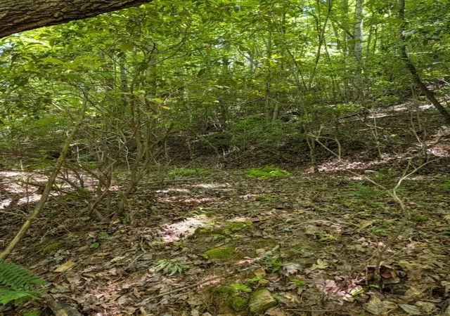 Photo 1 of Land for sale at 00 Talc Mine Rd, Murphy, NC 28906 | MLS# 98544425 | Listing updated on 2026-07-29