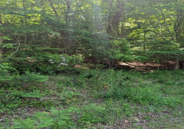 Photo 2 of Land for sale at 00 Talc Mine Rd, Murphy, NC 28906 | MLS# 98544425 | Listing updated on 2026-07-29