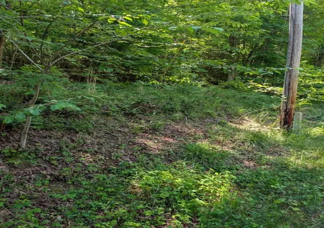 Photo 3 of Land for sale at 00 Talc Mine Rd, Murphy, NC 28906 | MLS# 98544425 | Listing updated on 2026-07-29