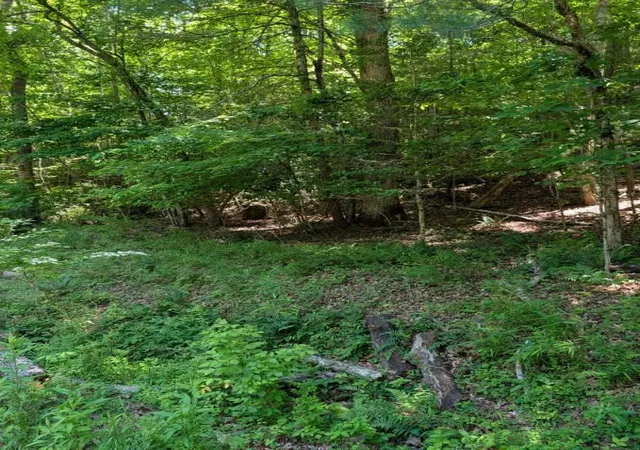 Photo 3 of Land for sale at 00 Talc Mine Rd, Murphy, NC 28906 | MLS# 98544425 | Listing updated on 2026-07-29