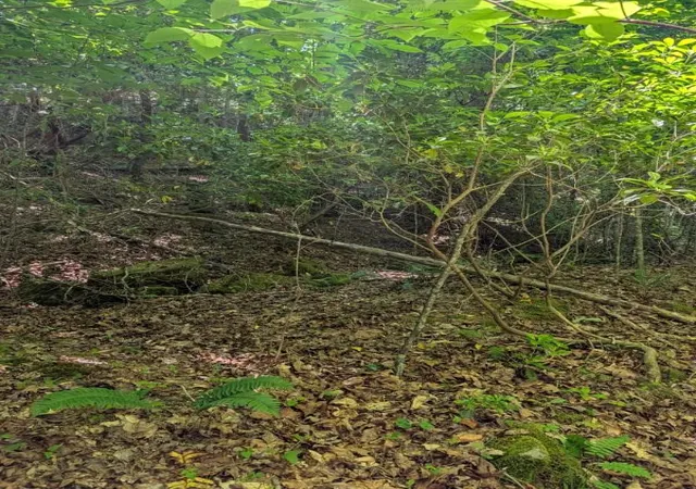 Photo 4 of Land for sale at 00 Talc Mine Rd, Murphy, NC 28906 | MLS# 98544425 | Listing updated on 2026-07-29