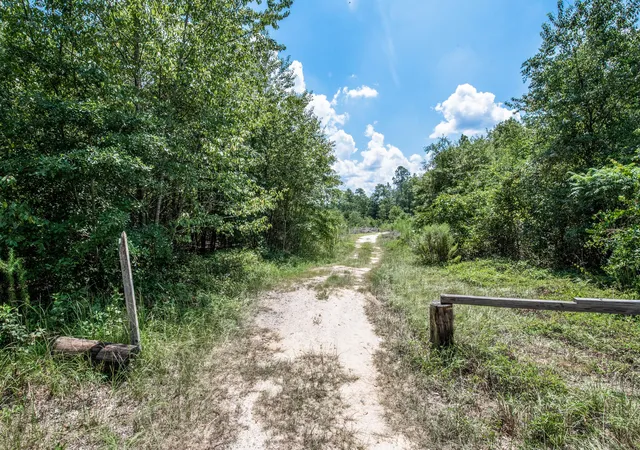15th image of 4091 Shimmer Lake Ln, North Augusta, SC 29841 | MLS# 98253466