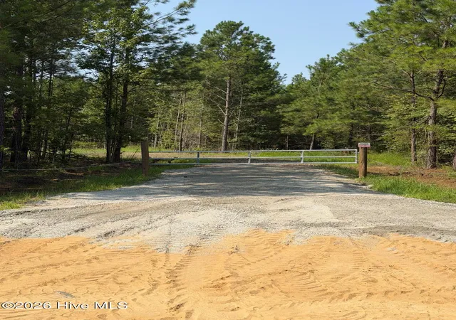 1st image of 0 Netherland Rd, Midville, GA 30441 | MLS# 100592633