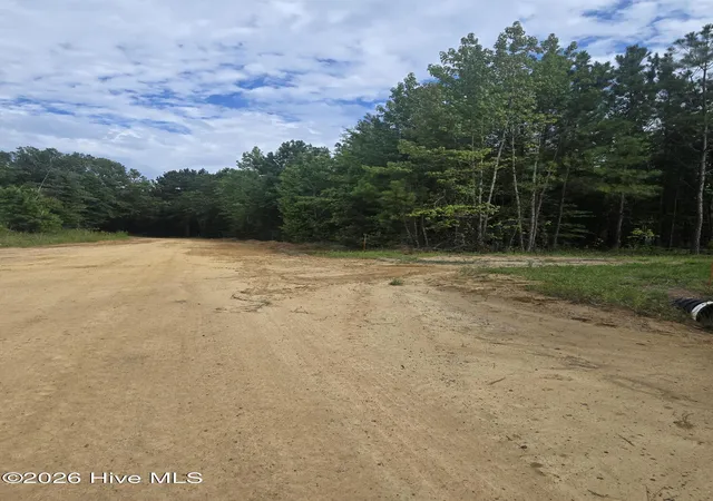 2nd image of 0 Netherland Rd, Midville, GA 30441 | MLS# 100592633