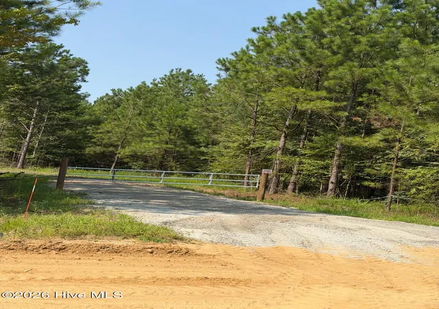 3rd image of 0 Netherland Rd, Midville, GA 30441 | MLS# 100592633