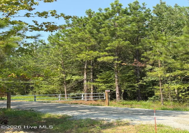 4th image of 0 Netherland Rd, Midville, GA 30441 | MLS# 100592633