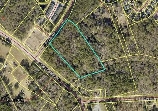 1st image of 0 Timber Trl, Richmond Hill, GA 31324 | MLS# SA347282