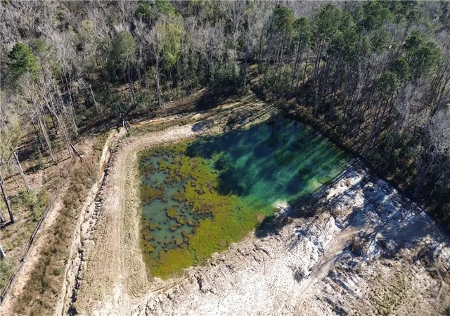 2nd image of 0 Timber Trl, Richmond Hill, GA 31324 | MLS# SA347282