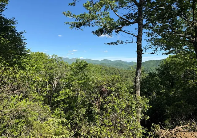Homes for sale in Hayesville, NC | 294 Shearer Rdg, Hayesville, NC 28904 | MLS# 98544485