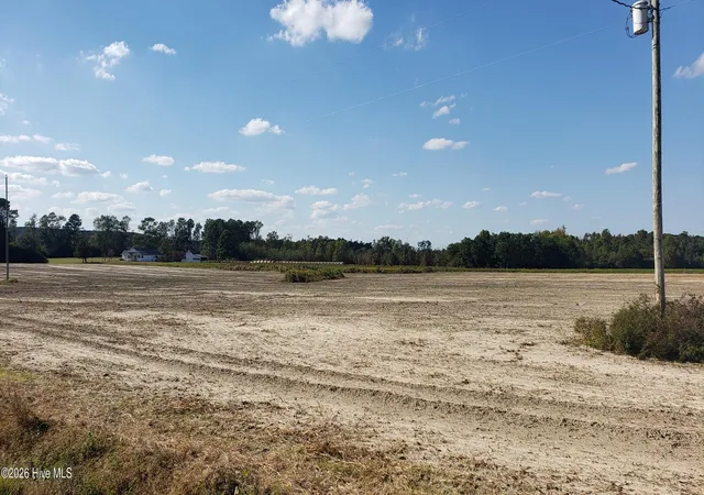 Homes for sale in Roseboro, NC | 510 Mitchell Loop Rd, Roseboro, NC 28382 | MLS# 100574847
