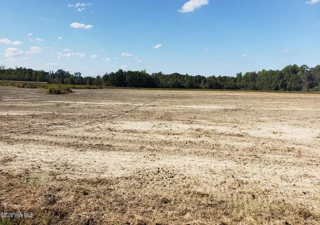 4th image of 510 Mitchell Loop Rd, Roseboro, NC 28382 | MLS# 100574847