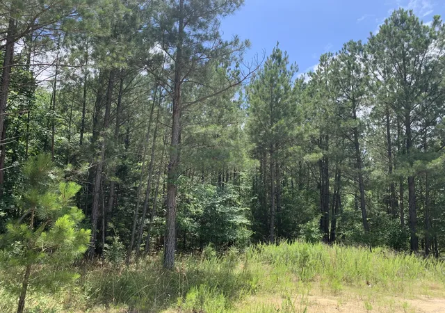4th image of Na Metasville Rd, Lincolnton, GA 30817 | MLS# 98224573