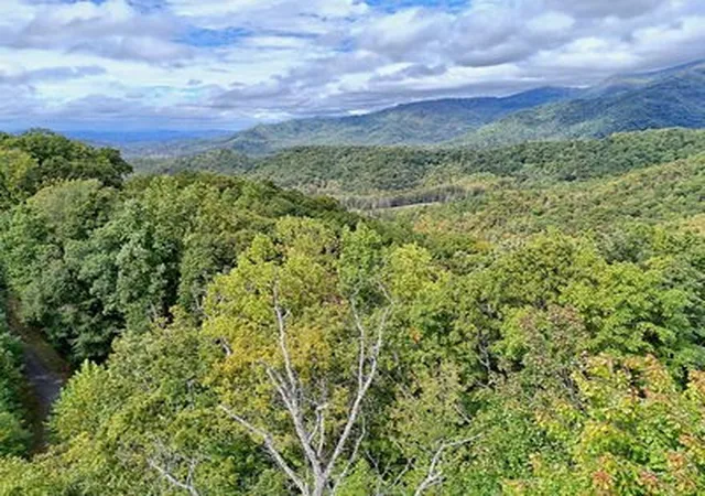 Homes for sale in Hayesville, NC | Lot 28 Skyview Dr, Hayesville, NC 28904 | MLS# 98500128