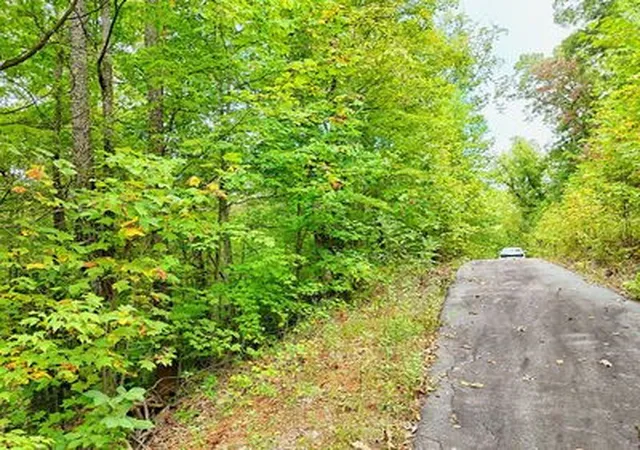 Homes for sale in Hayesville, NC | Lot 28 Skyview Dr, Hayesville, NC 28904 | MLS# 98500128