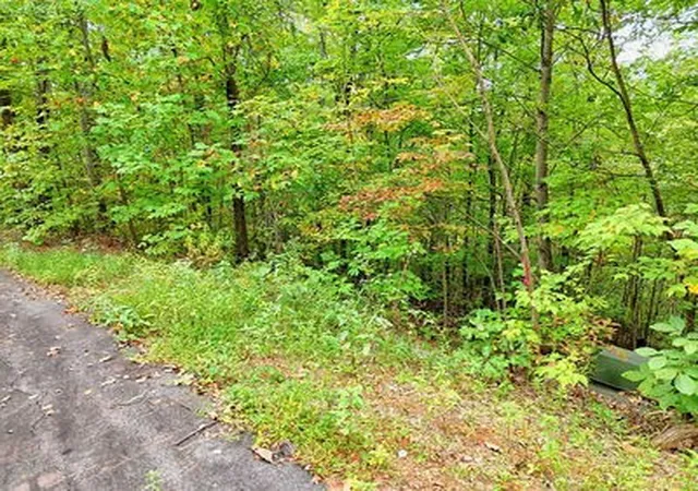Homes for sale in Hayesville, NC | Lot 28 Skyview Dr, Hayesville, NC 28904 | MLS# 98500128