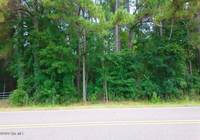 Homes for sale in Clarendon, NC | 0000 Near 855 Furnie Hamm Rd, Clarendon, NC 28432 | MLS# 100587234