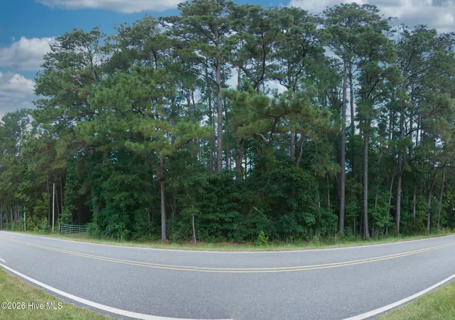 Homes for sale in Clarendon, NC | 0000 Near 855 Furnie Hamm Rd, Clarendon, NC 28432 | MLS# 100587234