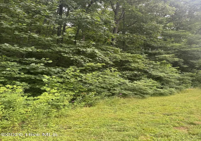 Homes for sale in Sylva, NC | 78 Lt 78 Pitch Pine Dr, Sylva, NC 28779 | MLS# 100588119