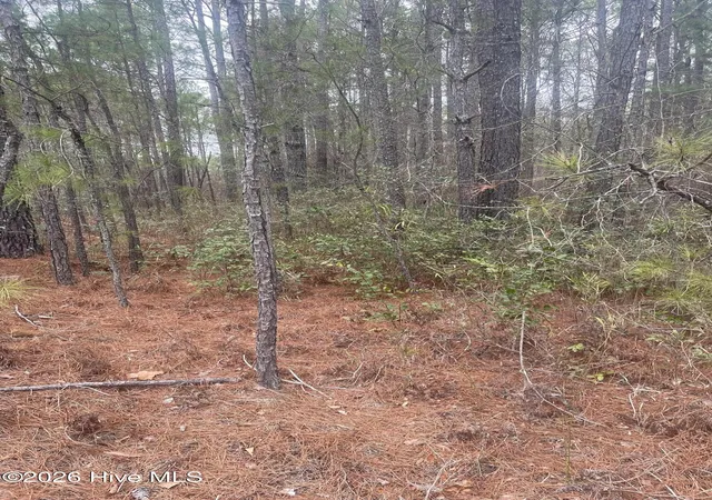 Photo 3 of Land for sale at Lot 6 & 7 Bumpy Ln, Sanford, NC 27332 | MLS# 100590915 | Listing updated on 2026-08-18