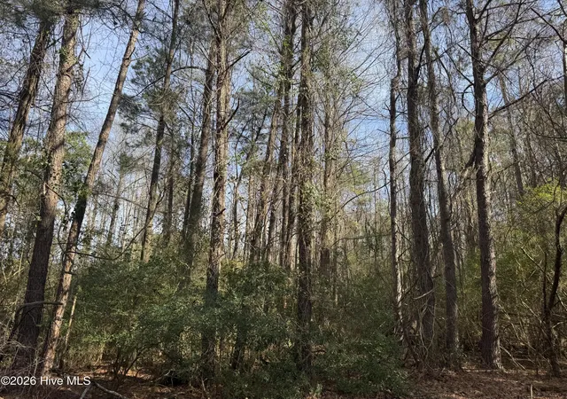 Homes for sale in Bladenboro, NC | 0 Butler Mill Rd, Bladenboro, NC 28320 | MLS# 100555374