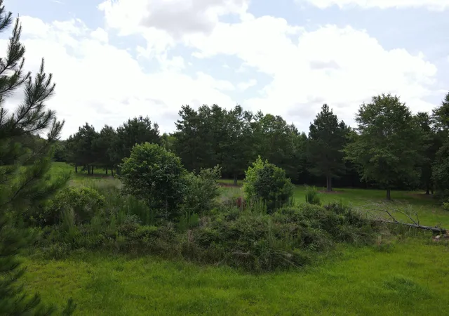 Homes for sale in Barnwell, SC | 00 Reynolds Rd, Barnwell, SC 29812 | MLS# 98224616