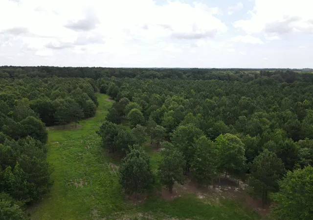 Homes for sale in Barnwell, SC | 00 Reynolds Rd, Barnwell, SC 29812 | MLS# 98224616