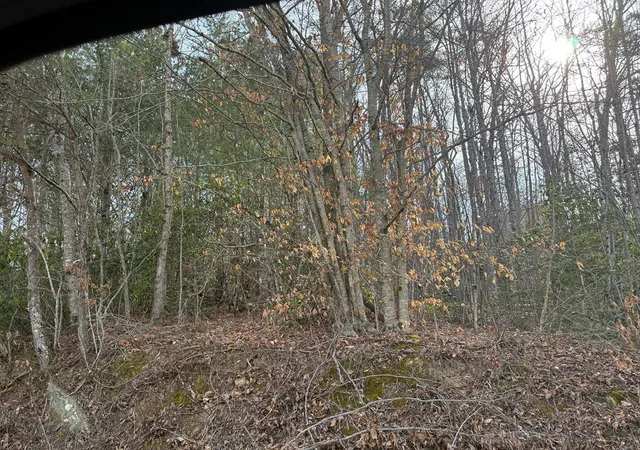Photo 3 of Land for sale at 0 Paradise St, Murphy, NC 28906 | MLS# 98525338 | Listing updated on 2026-07-01
