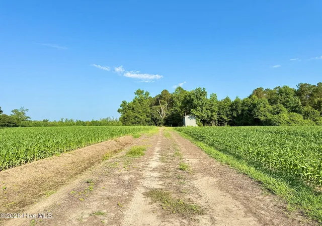3rd image of Off Swamp Fox Hwy E, Tabor City, NC 28463 | MLS# 100583854