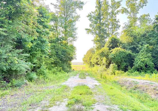 4th image of Off Swamp Fox Hwy E, Tabor City, NC 28463 | MLS# 100583854
