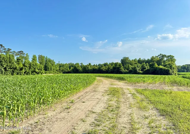 5th image of Off Swamp Fox Hwy E, Tabor City, NC 28463 | MLS# 100583854