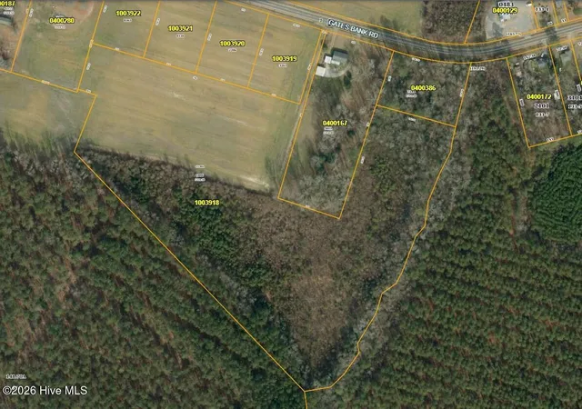 Photo 3 of Land for sale at 000 Gates Bank Rd, Gates, NC 27937 | MLS# 100579399 | Listing updated on 2026-09-08