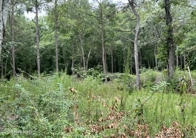 4th image of Lot 17 Brookwind Ln, Dunn, NC 28334 | MLS# 100588473