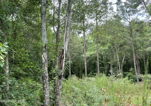 5th image of Lot 17 Brookwind Ln, Dunn, NC 28334 | MLS# 100588473
