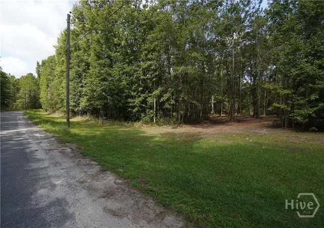 Photo 2 of Land for sale at 0 Williams Rd, Guyton, GA 31312 | MLS# SA363571 | Listing updated on 2026-09-03