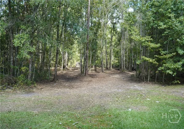 Photo 3 of Land for sale at 0 Williams Rd, Guyton, GA 31312 | MLS# SA363571 | Listing updated on 2026-09-03