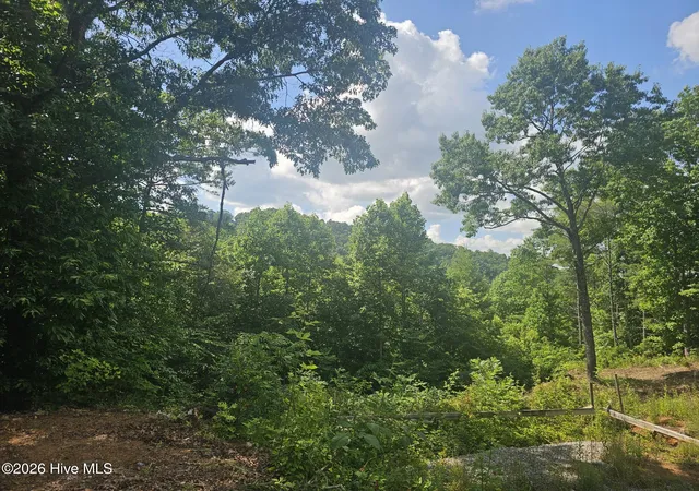 Photo 3 of Land for sale at 45 Meadowlark Ter, Murphy, NC 28906 | MLS# 100580760 | Listing updated on 2026-08-18