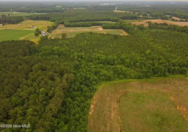 Photo 3 of Land for sale at 000 Rains Xrds Rd, Princeton, NC 27569 | MLS# 100585953 | Listing updated on 2026-07-02