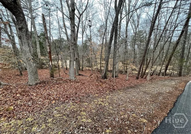 Homes for sale in Westminster, SC | Lot 43 Chickasaw Dr, Westminster, SC 29693 | MLS# CL354410