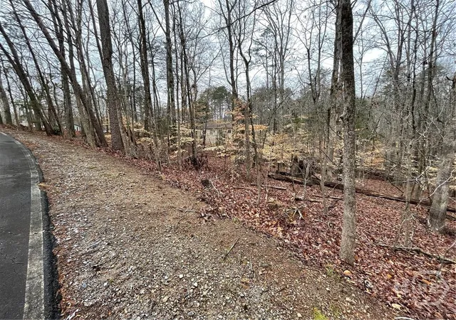 Homes for sale in Westminster, SC | Lot 43 Chickasaw Dr, Westminster, SC 29693 | MLS# CL354410