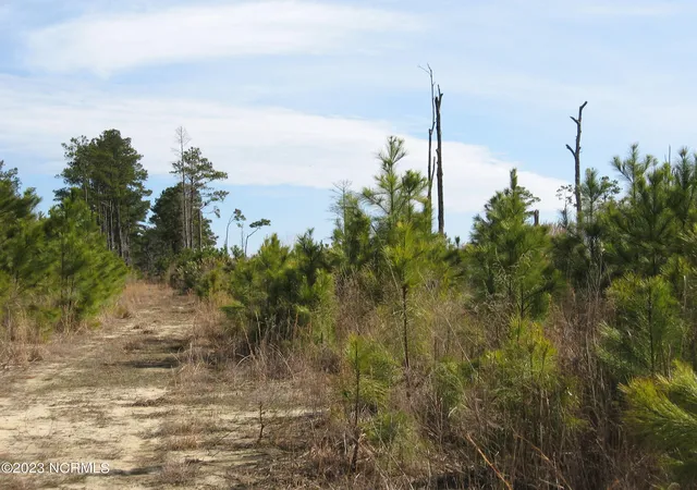 1st image of 4161 Caratoke Hwy, Barco, NC 27917 | MLS# 100571530