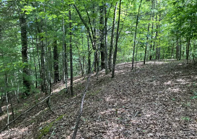Photo 1 of Land for sale at 11 Green Cvs Cir, Murphy, NC 28906 | MLS# 100593735 | Listing updated on 2026-08-18